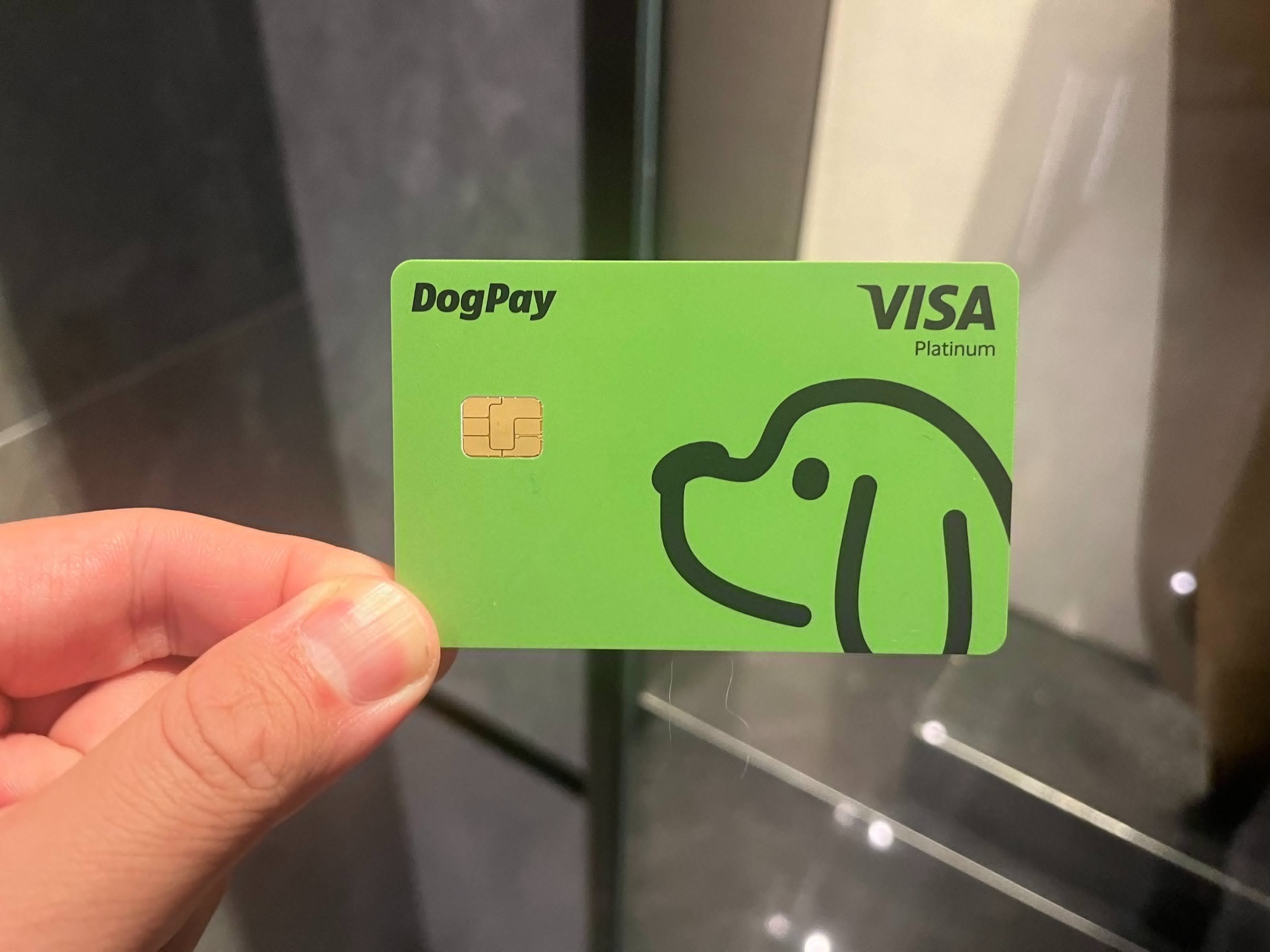 dogpay 1.jpg